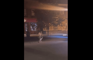 Dude Thought He Could Take On A Car After Getting Into A Heated Altercation With A Guy