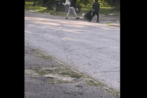 Community Watched A Man Take Multiple Shots After He Tried To Take On Robbers That Tried To Go In His Pockets!