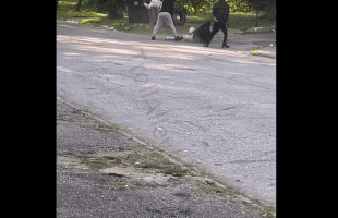 Community Watched A Man Take Multiple Shots After He Tried To Take On Robbers That Tried To Go In His Pockets!