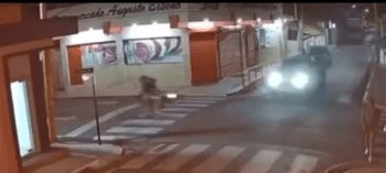 Woman Survives Motorcycle Crash With A Fractured Broken Leg