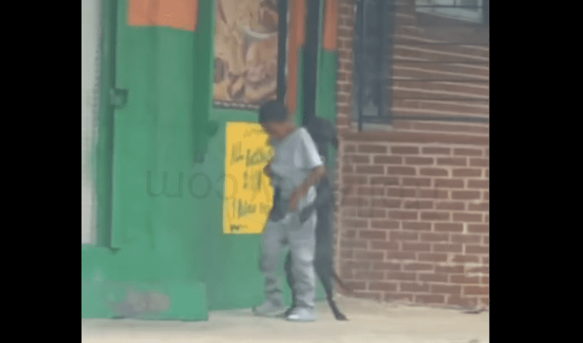 They Laughed After They Seen A Small Boy Getting Harassed By A Dog In A Weird Way