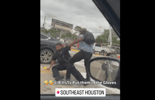 Two Weak Cops Gets Embarrassed By A Man After They Had A Difficult Time Detaining Him