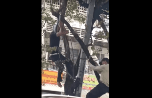 Dude Tried To Take Himself Out But Had To Start Over Because It Hurt Him The First Time