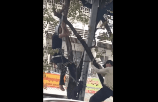 Dude Tried To Take Himself Out But Had To Start Over Because It Hurt Him The First Time