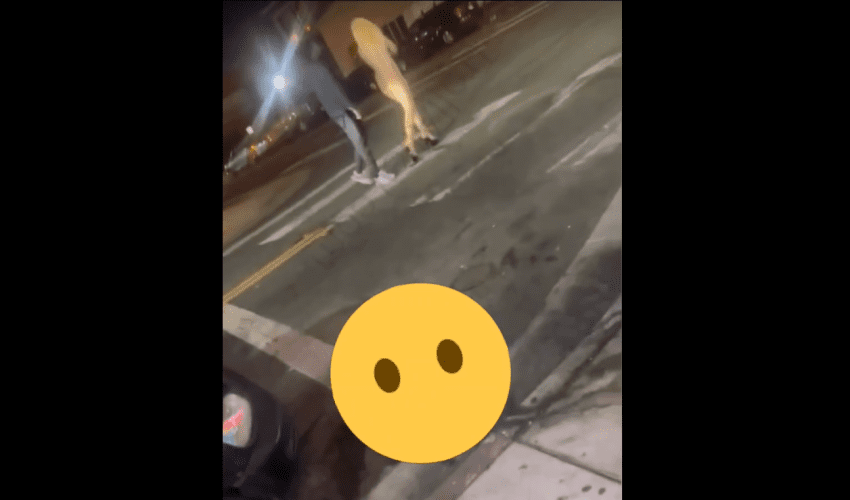 Working Girl Gets Knocked Out By Her Pimp For Talking Back And Being Disrespecting