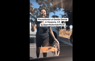 Dental Receptionist Crashes Out After She Pulled Out The Strap On A Disrespectful Customer