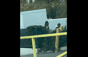 Lady Boy Caught Clapping A Guy In Behind The Bushes In Public