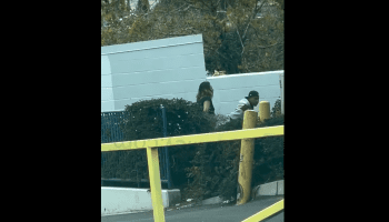 Lady Boy Caught Clapping A Guy In Behind The Bushes In Public