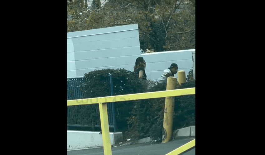Lady Boy Caught Clapping A Guy In Behind The Bushes In Public