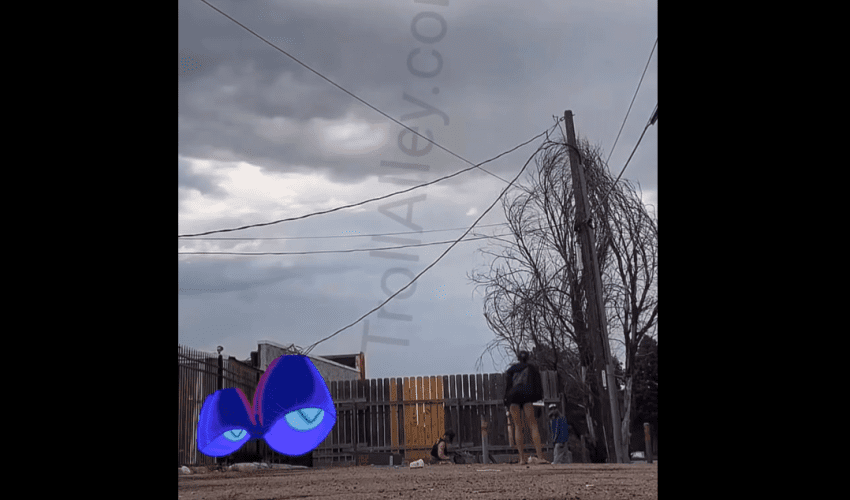 Woman Steps In And Protects Another Woman After She Seen A Man Violating Her