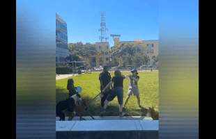 Karen Gets Laid Out For Running Her Mouth And Disrespecting A Woman And Her Small Daughter During A Dog Walk