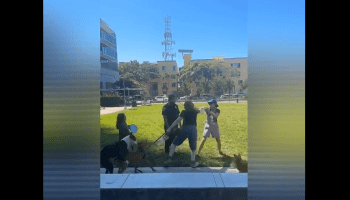 Karen Gets Laid Out For Running Her Mouth And Disrespecting A Woman And Her Small Daughter During A Dog Walk