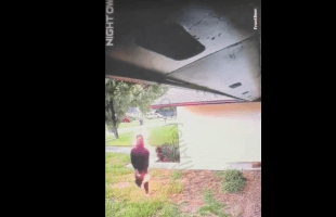 Woman Seen A Boy On Fire On Her Ring Camera And He Didn’t Know How To Put Himself Out