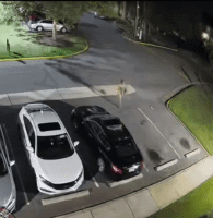 Dude Gets Caught Clapping A Girl And Ran Out Her House With A Rifle Because Her Boyfriend Came Home Clapping At Him