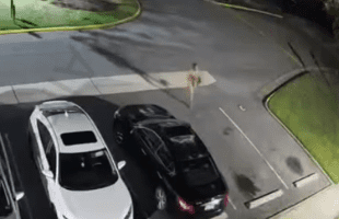 Dude Gets Caught Clapping A Girl And Ran Out Her House With A Rifle Because Her Boyfriend Came Home Clapping At Him