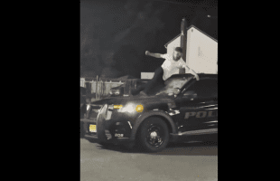 Guy Breaks Police Window And Tried To Steal Their Patrol Car While They Were In it