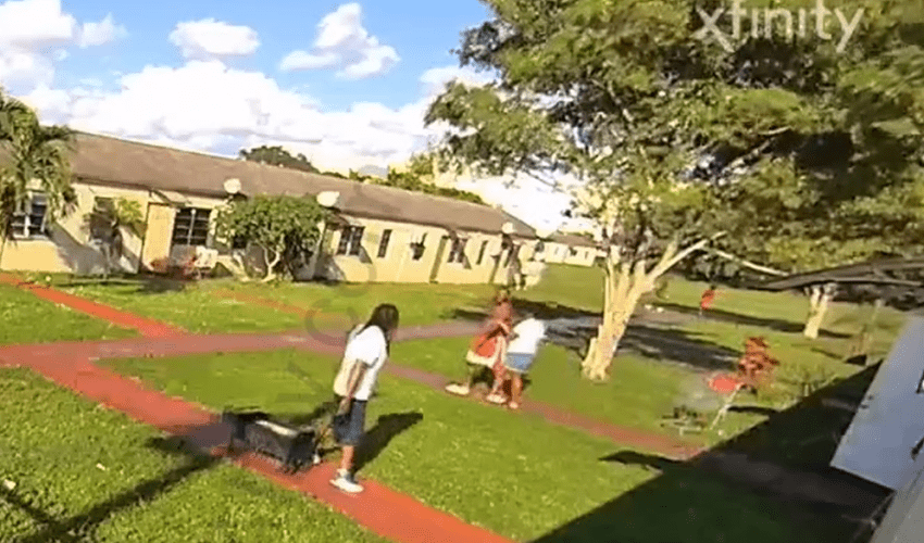 Get Em Bae: Dude Begs For His Girl Help After Calling A Guy Hands To Catch A Fade But Ended Up Losing