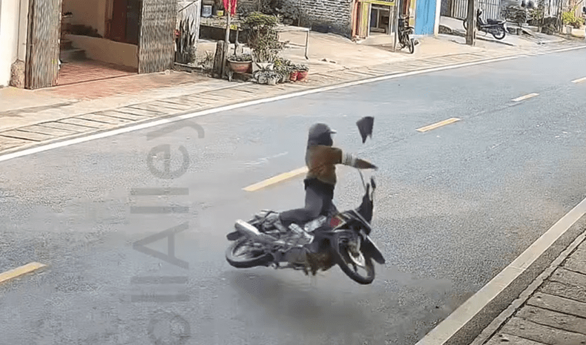 Nobody Checked To See If The Dog Was Ok After A Motorcycle Accident