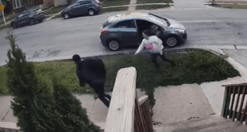 Relationship Goes Into Shambles After Woman Goes Insane After Her Boyfriend Ran Off With Her Keys And Purse After She Kicked Him Out On The Side Of The Road