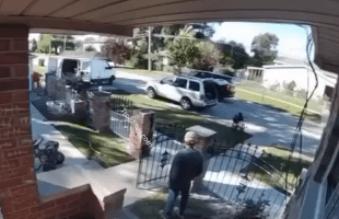 Bitter Neighbors Snitched And Called Ice On A Migrant That Was Doing Work On A House On Their Street