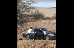 Regular Day In Portland Oregon