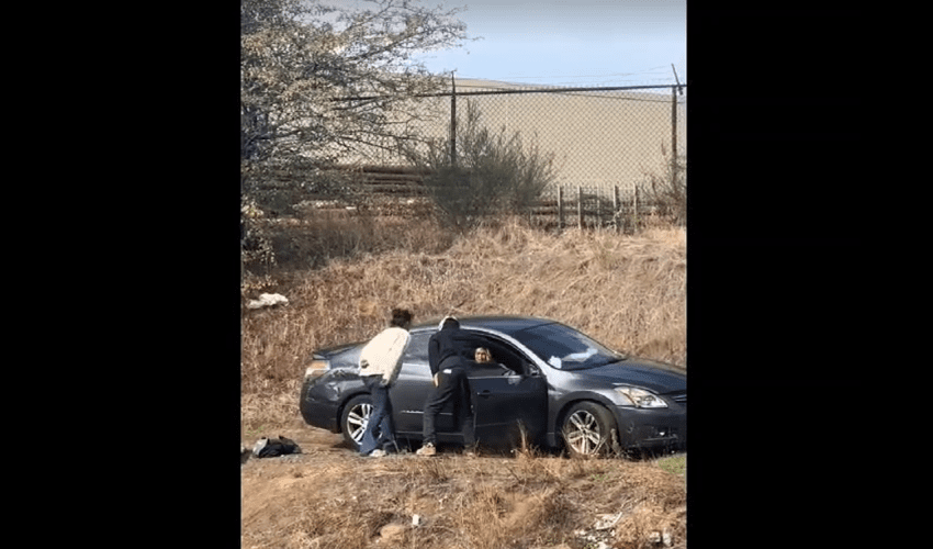 Regular Day In Portland Oregon