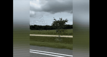 Dude Was Concerned After He Seen Multiple Black People Picking Veggies In A Field While Two White Males Was Watching In Their Truck