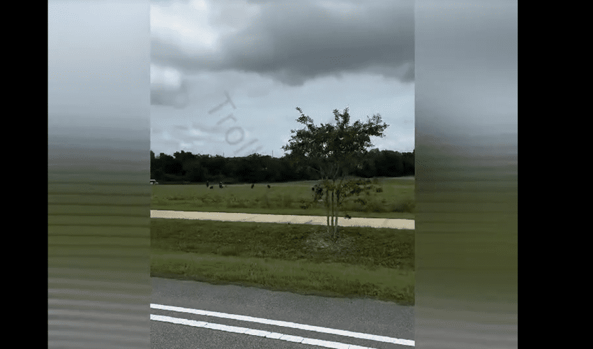 Dude Was Concerned After He Seen Multiple Black People Picking Veggies In A Field While Two White Males Was Watching In Their Truck