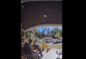 Dude Used A Strap On A Dog That Was Chasing Him