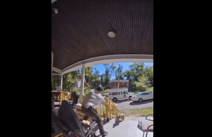 Dude Used A Strap On A Dog That Was Chasing Him