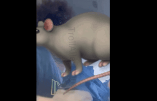 Dude Pulled Up On The Guy That Been Ducking Him And This Happened