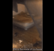 Woman Claim She Was Haitian After Cps And Police Came To Her Home And Found Out She Was Living In Filth With Her Kids