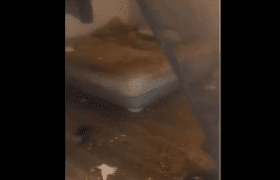 Woman Claim She Was Haitian After Cps And Police Came To Her Home And Found Out She Was Living In Filth With Her Kids