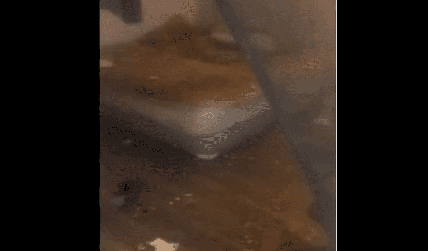 Woman Claim She Was Haitian After Cps And Police Came To Her Home And Found Out She Was Living In Filth With Her Kids