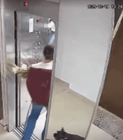 Dog Gets Stuck Outside Of Elevator Because Of The Owner