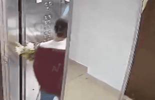 Dog Gets Stuck Outside Of Elevator Because Of The Owner
