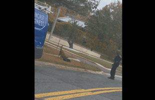 No Object Could Stop This Dog From Attacking Another Dog But A Bullet