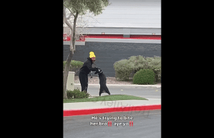 Dog Turns On His Owner For Being Mean