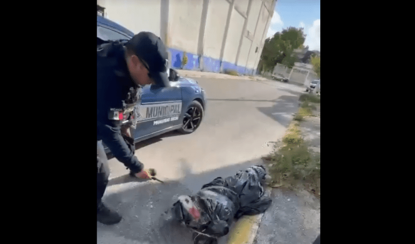 Only In Mexico You Will Find Somebody In A Bag