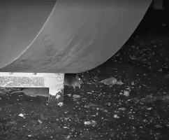 He Really Out Here Sniping Rats Without Using Rat Traps