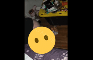 Dude Exposed His Girlfriend After He Caught Her Pissing On His Floor While The Dog Was Next To Her