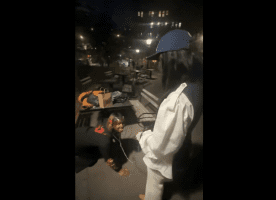 Her Ancestors Will Be Disappointed If They Seen This