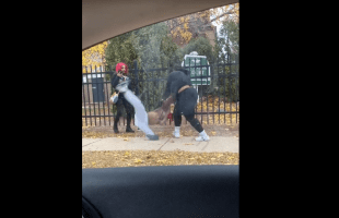 Girl Pulled Up On The Wrong Big Girl And Instantly Got Tossed Up