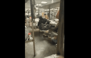 Dude Got Caught Sleeping Off Guard In Prison And This Happened