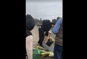 Man Gets Jumped After He Threw Street Venders Flowers In The Water For Selling It Next To Him While He Was Trying To Raise $500 For His Rent
