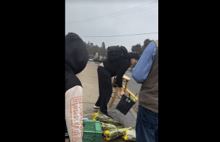 Man Gets Jumped After He Threw Street Venders Flowers In The Water For Selling It Next To Him While He Was Trying To Raise $500 For His Rent