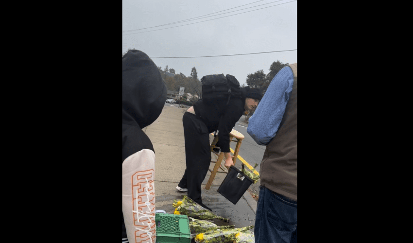 Man Gets Jumped After He Threw Street Venders Flowers In The Water For Selling It Next To Him While He Was Trying To Raise $500 For His Rent