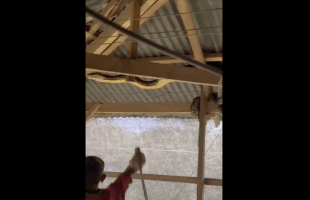 Python Hunting Is Different In Other Countries