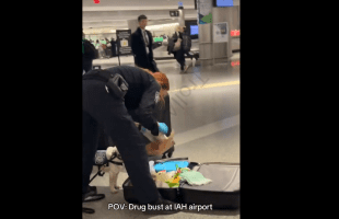 TSA Officer Sniffs A Brick Of White After Making A Bust At The Airport