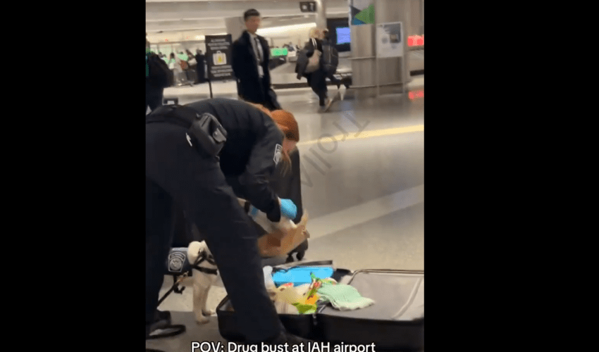 TSA Officer Sniffs A Brick Of White After Making A Bust At The Airport